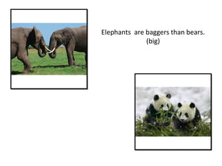 Elephants are baggers than bears.
(big)
 