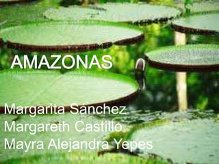 Margarita Sánchez
Margareth Castillo
Mayra Alejandra Yepes
 