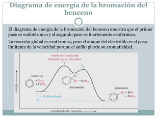 Diagrama de energía de la bromación del benceno El diagrama de energía de la bromación del benceno muestra que el primer paso es endotérmico y el segundo paso es fuertemente exotérmico. La reacción global es exotérmica, pero el ataque del electrófilo es el paso limitante de la velocidad porque el anillo pierde su aromaticidad. 