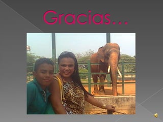 Diapositivas Con Animales 2