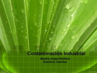 Contaminación Industrial
     Beatriz Joaqui Romero
      Estefanía Ceballos
 