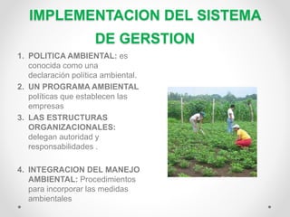 IMPLEMENTACION DEL SISTEMA
DE GERSTION
1. POLITICA AMBIENTAL: es
conocida como una
declaración política ambiental.
2. UN PROGRAMA AMBIENTAL
políticas que establecen las
empresas
3. LAS ESTRUCTURAS
ORGANIZACIONALES:
delegan autoridad y
responsabilidades .
4. INTEGRACION DEL MANEJO
AMBIENTAL: Procedimientos
para incorporar las medidas
ambientales
 