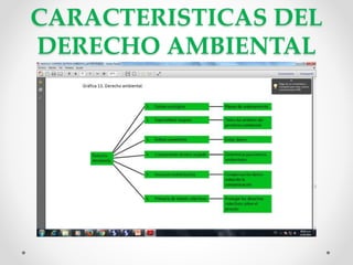 CARACTERISTICAS DEL
DERECHO AMBIENTAL
 