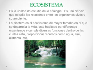 ECOSISTEMA
• Es la unidad de estudio de la ecología. Es una ciencia
que estudia las relaciones entre los organismos vivos y
su ambiente.
• La biosfera es el ecosistema de mayor tamaño en el que
se desarrolla la vida, esta habitado por diferentes
organismos y cumple diversas funciones dentro de las
cuales esta, proporcionar recursos como agua, aire,
alimento ,etc.
 