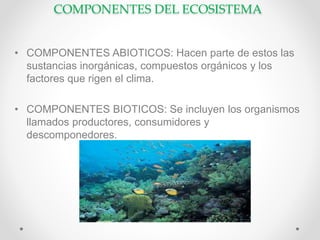 COMPONENTES DEL ECOSISTEMA
• COMPONENTES ABIOTICOS: Hacen parte de estos las
sustancias inorgánicas, compuestos orgánicos y los
factores que rigen el clima.
• COMPONENTES BIOTICOS: Se incluyen los organismos
llamados productores, consumidores y
descomponedores.
 
