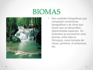 BIOMAS
• Son unidades fisiográficas que
comparten condiciones
topográficas y de clima que
hacen que se desarrollen
determinadas especies. En
Colombia se encuentran vario
biomas, entre ellos la
Orinoquia, zona húmeda del
choco, paramos, el amazonas,
etc.
 