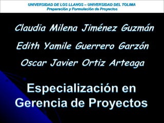 UNIVERSIDAD DE LOS LLANOS – UNIVERSIDAD DEL TOLIMA  Preparación y Formulación de Proyectos 