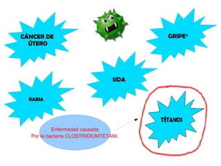 CÁNCER DE 
ÚTERO 
GRIPE* 
RABIA 
SIDA 
Enfermedad causada 
Por la bacteria CLOSTRIDIUMTETANI. 
 