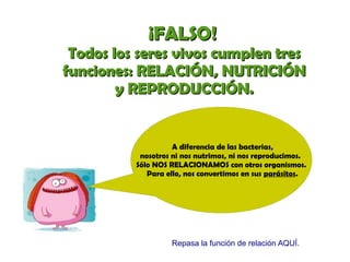 ¡¡FFAALLSSOO!! 
TTooddooss llooss sseerreess vviivvooss ccuummpplleenn ttrreess 
ffuunncciioonneess:: RREELLAACCIIÓÓNN,, NNUUTTRRIICCIIÓÓNN 
yy RREEPPRROODDUUCCCCIIÓÓNN.. 
A diferencia de las bacterias, 
nosotros ni nos nutrimos, ni nos reproducimos. 
Sólo NOS RELACIONAMOS con otros organismos. 
Para ello, nos convertimos en sus parásitos. 
Repasa la función de relación AQUÍ. 
 