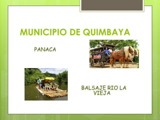 MUNICIPIO DE QUIMBAYA
PANACA
BALSAJE RIO LA
VIEJA
 