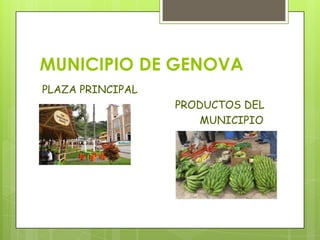MUNICIPIO DE GENOVA
PLAZA PRINCIPAL
PRODUCTOS DEL
MUNICIPIO
 
