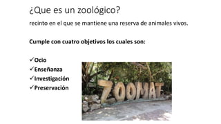 ¿Que es un zoológico?
recinto en el que se mantiene una reserva de animales vivos.
Cumple con cuatro objetivos los cuales son:
Ocio
Enseñanza
Investigación
Preservación
 