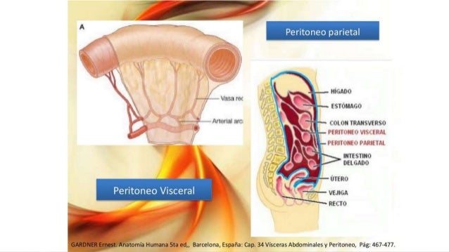 A la osteocondrosis sheynogo del departamento el neumático
