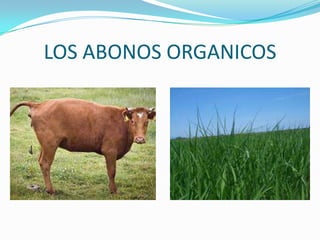 LOS ABONOS ORGANICOS
 