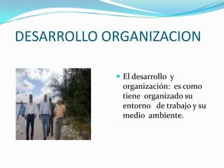  DESARROLLO ORGANIZACION El desarrollo  y organización:  es como tiene  organizado su entorno   de trabajo y su medio  ambiente. 
