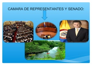 CAMARA DE REPRESENTANTES Y SENADO:
 
