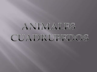 ANIMALES CUADRUPEDOS