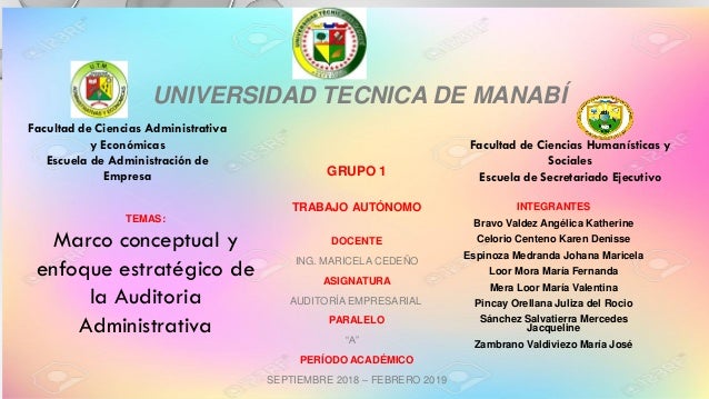 Diferentes Criterios En La Definicion De Auditoria