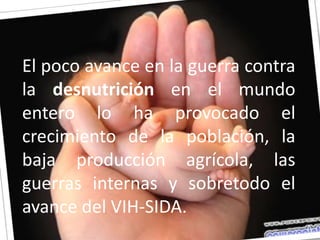 El poco avance en la guerra contra la desnutrición en el mundo entero lo ha provocado el crecimiento de la población, la baja producción agrícola, las guerras internas y sobretodo el avance del VIH-SIDA.