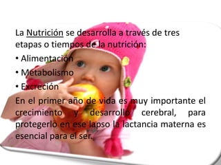 La Nutrición se desarrolla a través de tres etapas o tiempos de la nutrición: Alimentación