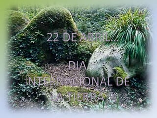 22 DE ABRIL…DIA INTERNACIONAL DE LA TIERRA
