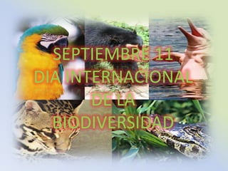 SEPTIEMBRE 11 DIA INTERNACIONAL DE LA BIODIVERSIDAD