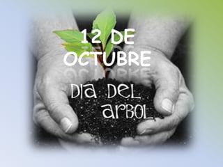12 DE OCTUBRE