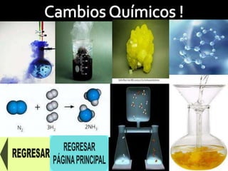 ¿Que se conserva durante el cambio?