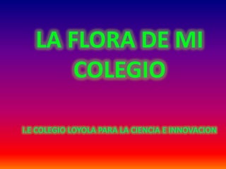 LA FLORA DE MI COLEGIO I.E COLEGIO LOYOLA PARA LA CIENCIA E INNOVACION 