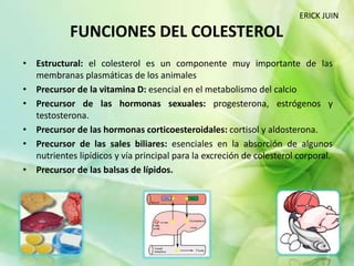 • Estructural: el colesterol es un componente muy importante de las
membranas plasmáticas de los animales
• Precursor de la vitamina D: esencial en el metabolismo del calcio
• Precursor de las hormonas sexuales: progesterona, estrógenos y
testosterona.
• Precursor de las hormonas corticoesteroidales: cortisol y aldosterona.
• Precursor de las sales biliares: esenciales en la absorción de algunos
nutrientes lipídicos y vía principal para la excreción de colesterol corporal.
• Precursor de las balsas de lípidos.
FUNCIONES DEL COLESTEROL
ERICK JUIN
 