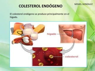 COLESTEROL ENDÓGENO
MISHEL GONZALEZ
El colesterol endógeno se produce principalmente en el
hígado.
 