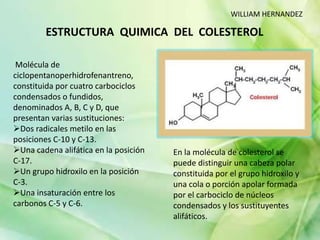 Molécula de
ciclopentanoperhidrofenantreno,
constituida por cuatro carbociclos
condensados o fundidos,
denominados A, B, C y D, que
presentan varias sustituciones:
Dos radicales metilo en las
posiciones C-10 y C-13.
Una cadena alifática en la posición
C-17.
Un grupo hidroxilo en la posición
C-3.
Una insaturación entre los
carbonos C-5 y C-6.
En la molécula de colesterol se
puede distinguir una cabeza polar
constituida por el grupo hidroxilo y
una cola o porción apolar formada
por el carbociclo de núcleos
condensados y los sustituyentes
alifáticos.
ESTRUCTURA QUIMICA DEL COLESTEROL
WILLIAM HERNANDEZ
 