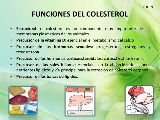 Diapositivas de colesterol 2016