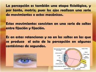 La percepción es también una etapa fisiológica, y
por tanto, motriz; pues los ojos realizan una serie
de movimientos o actos mecánicos.
Estos movimientos consisten en una serie de saltos
entre fijación y fijación.
Es en estas retenciones y no en los saltos en las que
se produce el acto de la percepción en algunas
centésimas de segundos.

 