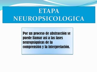 Por un proceso de abstracción se
puede llamar así a las fases
neuropsíquicas de la
comprensión y la interpretación.

 