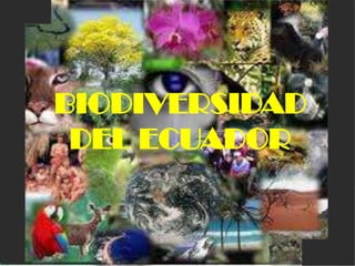 BIODIVERSIDAD
 DEL ECUADOR
 