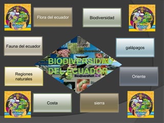 Flora del ecuador   Biodiversidad




Fauna del ecuador                                   galápagos


                     BIODIVERSIDAD
    Regiones         DEL ECUADOR                       Oriente
    naturales




                     Costa            sierra
 