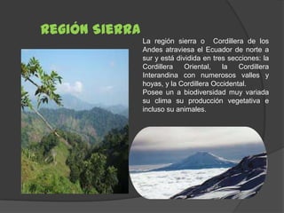 Región Sierra
                La región sierra o Cordillera de los
                Andes atraviesa el Ecuador de norte a
                sur y está dividida en tres secciones: la
                Cordillera    Oriental,   la   Cordillera
                Interandina con numerosos valles y
                hoyas, y la Cordillera Occidental.
                Posee un a biodiversidad muy variada
                su clima su producción vegetativa e
                incluso su animales.
 