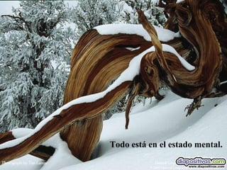 Todo está en el estado mental. 
