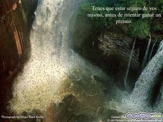 Tenes que estar seguro de vos mismo, antes de intentar ganar un premio. 