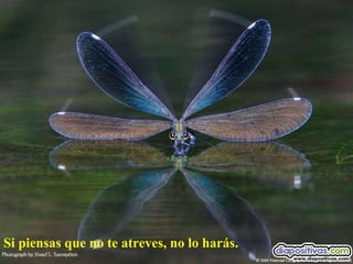 Si piensas que no te atreves, no lo harás. 
