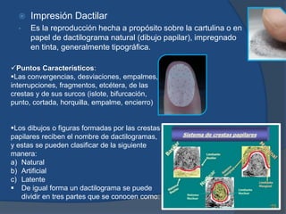  Impresión Dactilar
• Es la reproducción hecha a propósito sobre la cartulina o en
papel de dactilograma natural (dibujo papilar), impregnado
en tinta, generalmente tipográfica.
Puntos Característicos:
Las convergencias, desviaciones, empalmes,
interrupciones, fragmentos, etcétera, de las
crestas y de sus surcos (islote, bifurcación,
punto, cortada, horquilla, empalme, encierro)
Los dibujos o figuras formadas por las crestas
papilares reciben el nombre de dactilogramas,
y estas se pueden clasificar de la siguiente
manera:
a) Natural
b) Artificial
c) Latente
 De igual forma un dactilograma se puede
dividir en tres partes que se conocen como:
 