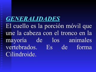 GENERALIDADES El cuello es la porción móvil que une la cabeza con el tronco en la mayoría de los animales vertebrados. Es de forma Cilindroide. 