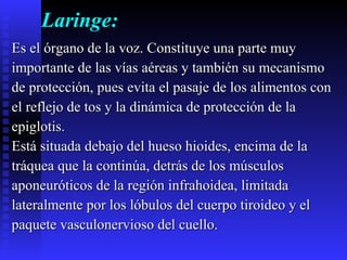 Laringe: Es el órgano de la voz. Constituye una parte muy  importante de las vías aéreas y también su mecanismo  de protección, pues evita el pasaje de los alimentos con  el reflejo de tos y la dinámica de protección de la  epiglotis. Está situada debajo del hueso hioides, encima de la  tráquea que la continúa, detrás de los músculos  aponeuróticos de la región infrahoidea, limitada  lateralmente por los lóbulos del cuerpo tiroideo y el  paquete vasculonervioso del cuello. 