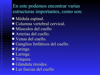 En este podemos encontrar varias estructuras importantes, como son: Médula espinal. Columna vertebral cervical. Músculos del cuello Arterias del cuello. Venas del cuello. Ganglios linfáticos del cuello. Faringe. Laringe. Tráquea. Glándula tiroides. Las fascias del cuello  