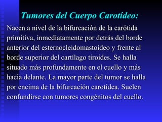 Tumores del Cuerpo Carotídeo: Nacen a nivel de la bifurcación de la carótida  primitiva, inmediatamente por detrás del borde  anterior del esternocleidomastoídeo y frente al  borde superior del cartílago tiroides. Se halla  situado más profundamente en el cuello y más  hacia delante. La mayor parte del tumor se halla  por encima de la bifurcación carotídea. Suelen  confundirse con tumores congénitos del cuello. 