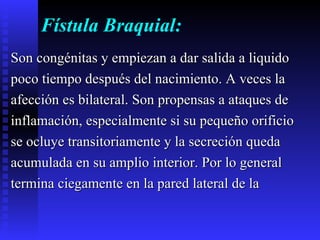 Fístula Braquial: Son congénitas y empiezan a dar salida a liquido  poco tiempo después del nacimiento. A veces la  afección es bilateral. Son propensas a ataques de  inflamación, especialmente si su pequeño orificio  se ocluye transitoriamente y la secreción queda  acumulada en su amplio interior. Por lo general  termina ciegamente en la pared lateral de la 