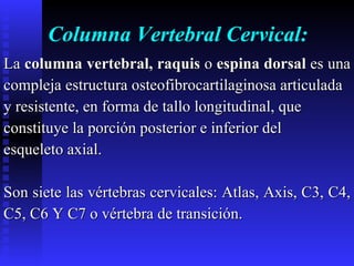 Columna Vertebral Cervical: La  columna vertebral,   raquis  o  espina dorsal  es una  compleja estructura osteofibrocartilaginosa articulada  y resistente, en forma de tallo longitudinal, que  constituye la porción posterior e inferior del  esqueleto axial. Son siete las vértebras cervicales: Atlas, Axis, C3, C4,  C5, C6 Y C7 o vértebra de transición. 