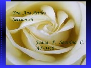 Juana P. Severino C. AF-0440 Dra. Ana Artiles Sección 38 