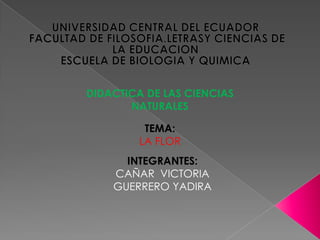 UNIVERSIDAD CENTRAL DEL ECUADOR  FACULTAD DE FILOSOFIA.LETRASY CIENCIAS DE LA EDUCACION  ESCUELA DE BIOLOGIA Y QUIMICA  DIDACTICA DE LAS CIENCIAS NATURALES  TEMA: LA FLOR  INTEGRANTES: CAÑAR  VICTORIA GUERRERO YADIRA  